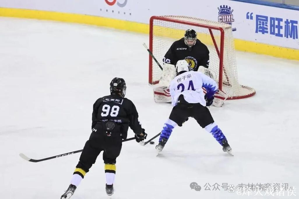 第6届全国大学生冰球联赛总决赛收官 第6届全国大学生冰球联赛总决赛收官